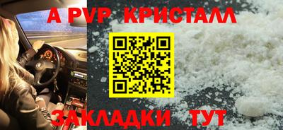 СК Новозыбков