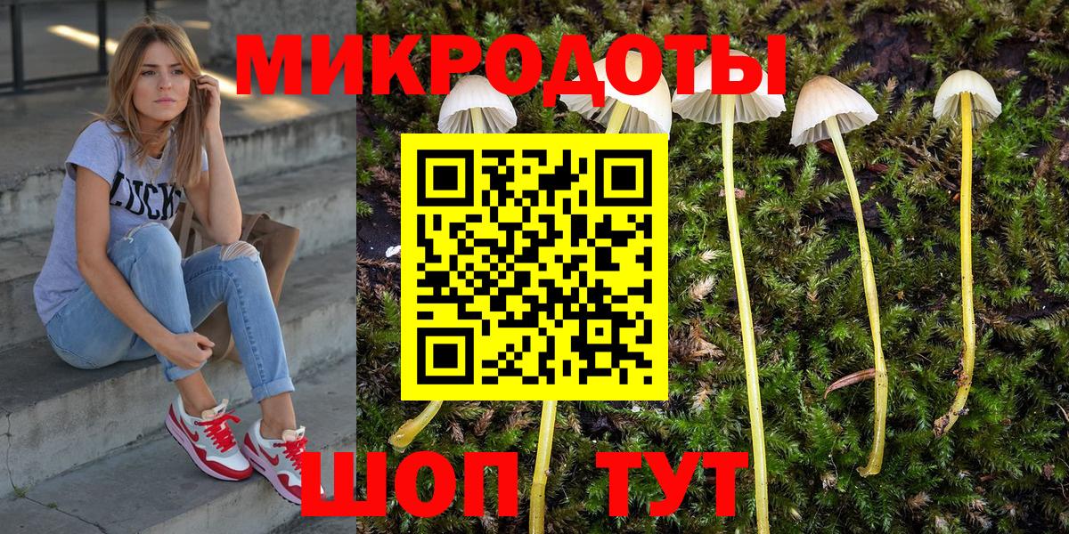 Славгород  даркнет сайт  Вход с VPN  Галлюциногенные грибы мицелий 