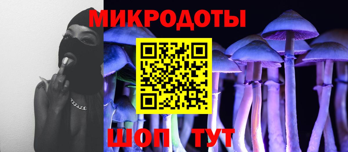 Псилоцибиновые грибы GOLDEN TEACHER Славгород